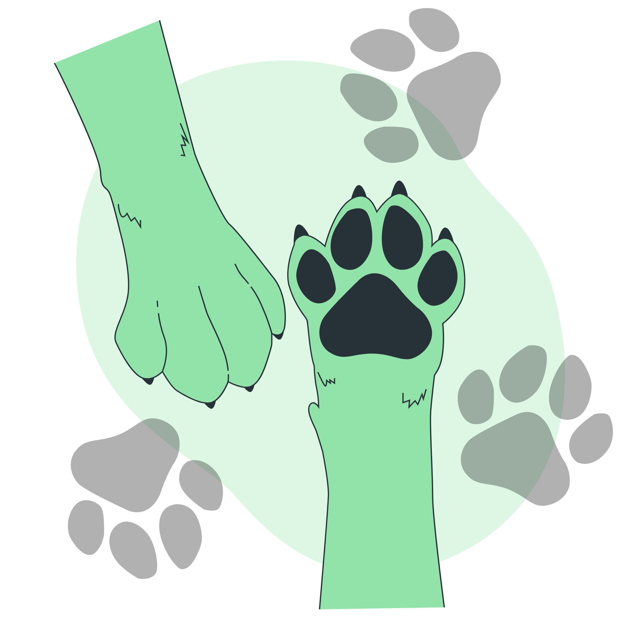 Dog paw-bro
